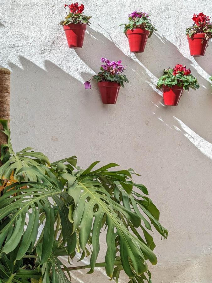 Harbor Getaway In The Heart Of Puerto Banus With Walking Dictance To Everything Marbella Eksteriør bilde